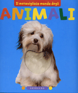 copertina